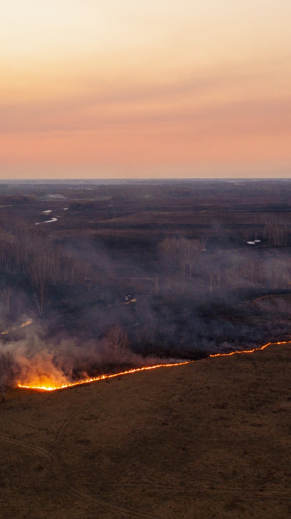 alivio tributario para las víctimas de los recientes incendios en California