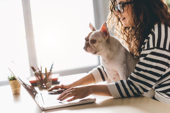 Pet Influencer filing taxes