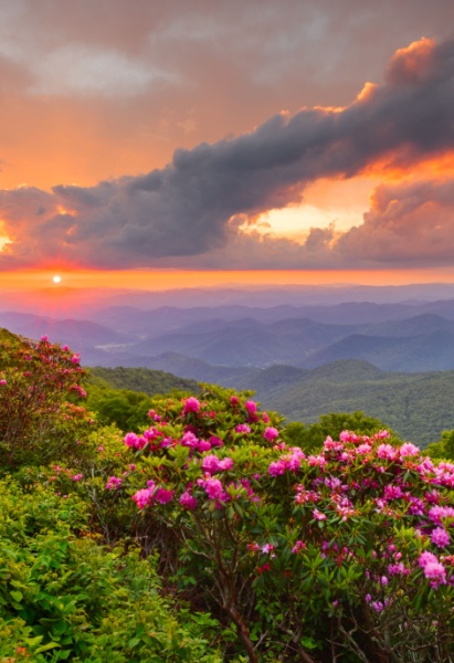 NC state income tax
