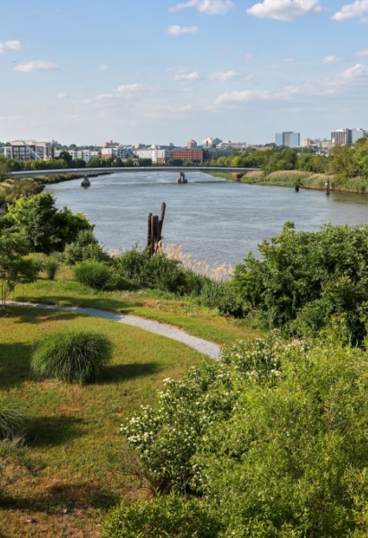 Overlooking Wilmington riverfront area from Russell Peterson Wildlife Refuge in Wilmington, Delaware